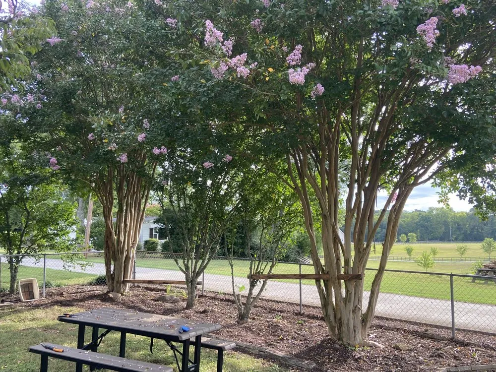 Professional landscape installation for outdoor upgrades in Knoxville, TN by Steve's Scapes Landscaping