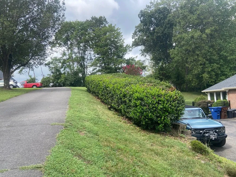 Custom yard maintenance for beautiful yards across Knoxville, TN - Steve's Scapes Landscaping