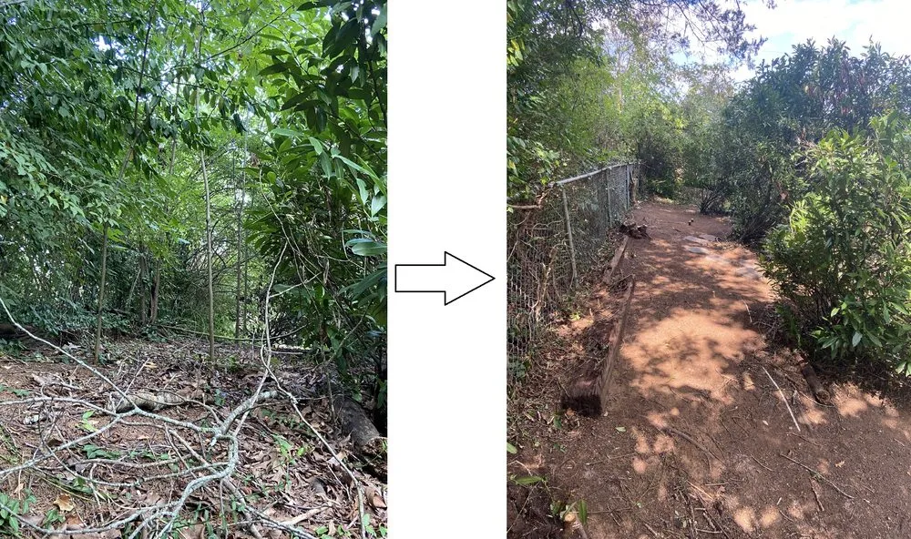 Trusted yard maintenance in Knoxville, TN by Steve's Scapes Landscaping