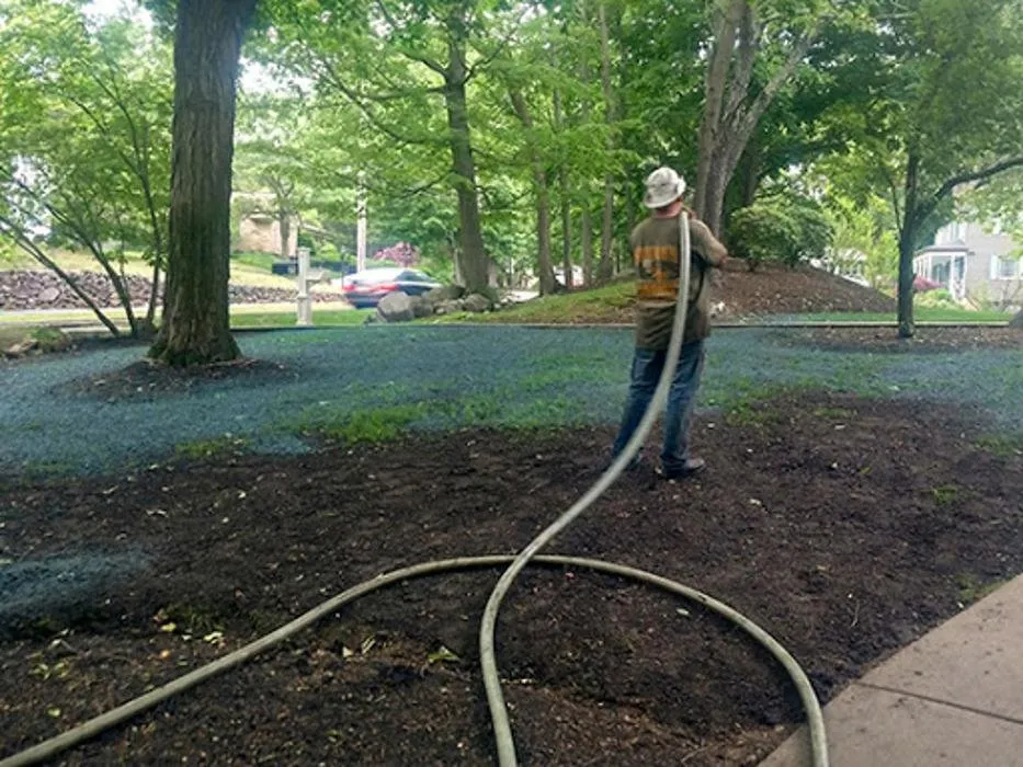 Affordable landscaping services experts serving Everett, MA - Steve's Services