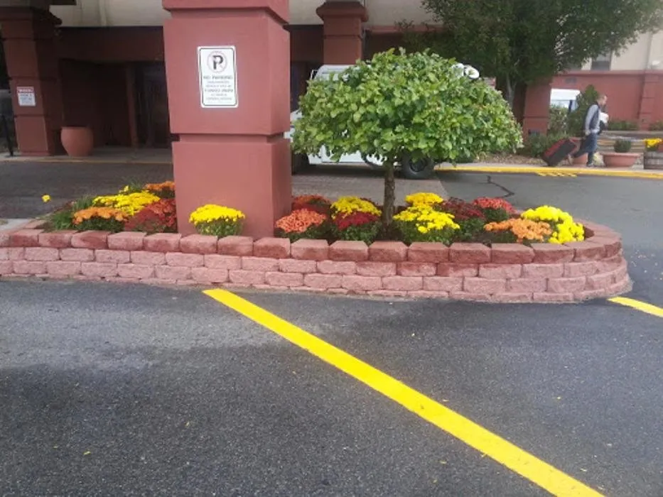 Trusted residential landscaping in Everett, MA - Steve's Services