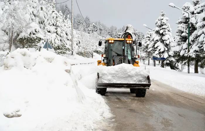 Top-rated garden landscaping for year-round maintenance across Everett, MA - Steve's Services