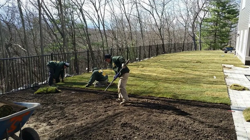 Professional landscape installation in Everett, MA by Steve's Services