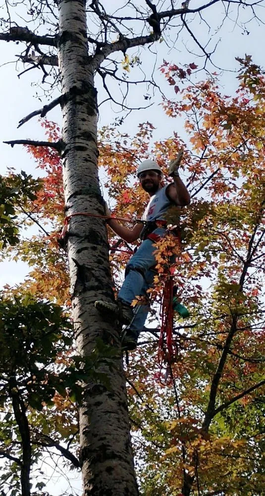 Custom landscaping services for outdoor upgrades across Mora, MN - Steves Services