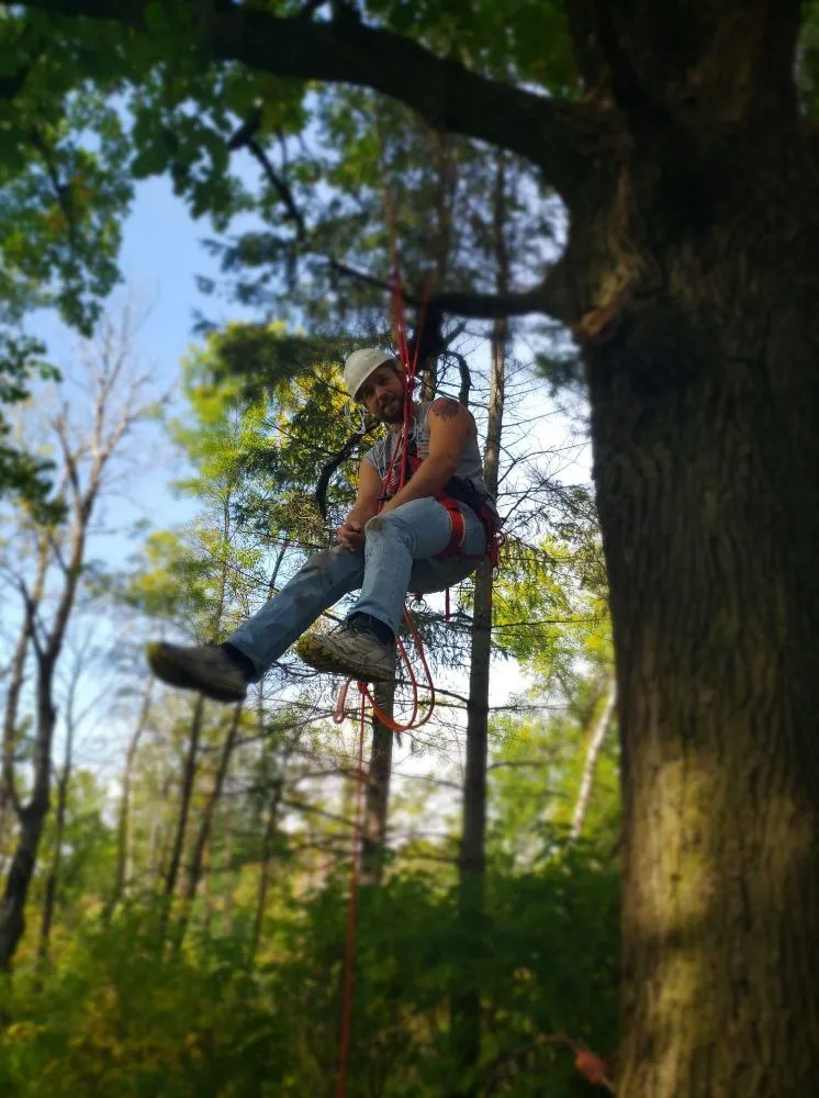 Affordable landscaping services experts serving Mora, MN - Steves Services