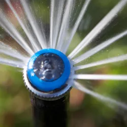 Local lawn mowing service in Littleton, CO - Steves Sprinkler Service