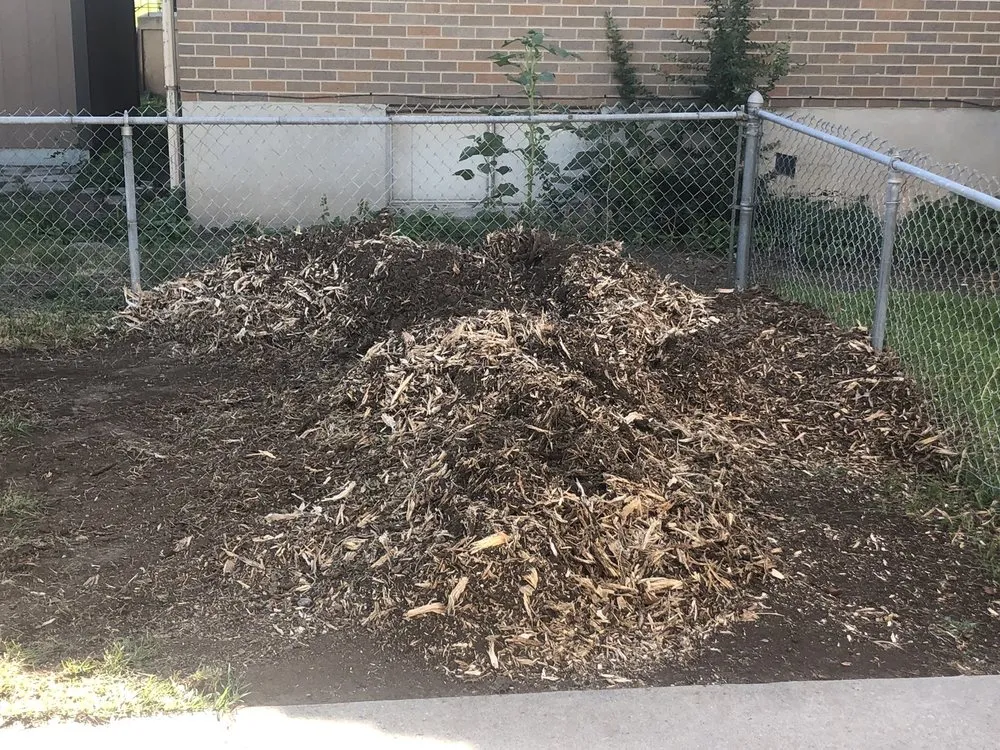 Affordable lawn care service in South Salt Lake, UT by Steve's Stump Grinding