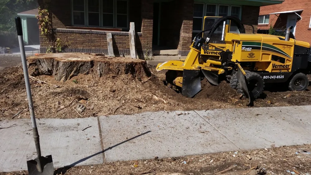 Top-rated residential landscaping in South Salt Lake, UT by Steve's Stump Grinding