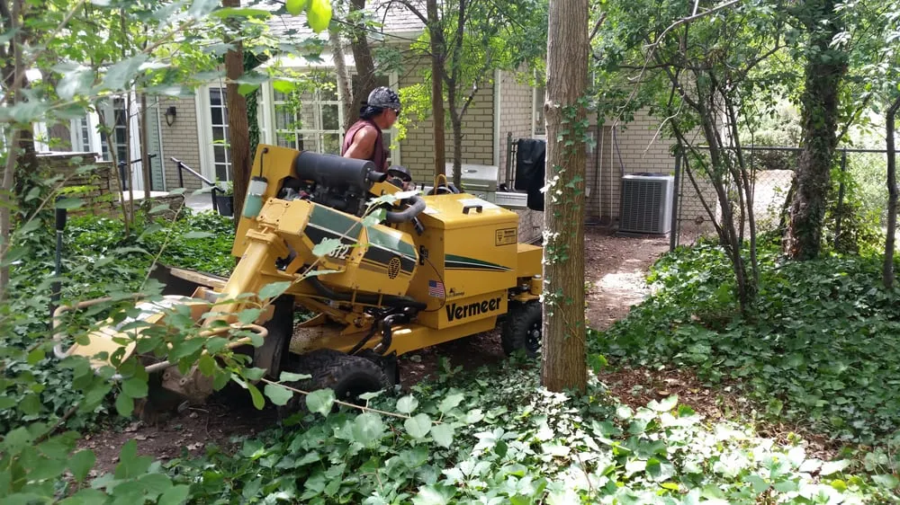 Affordable lawn mowing service in South Salt Lake, UT by Steve's Stump Grinding