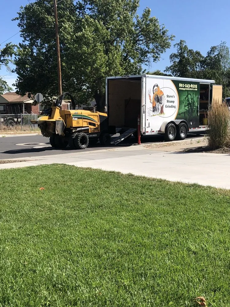 Top-rated yard maintenance for homes across South Salt Lake, UT - Steve's Stump Grinding