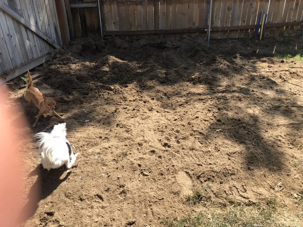 Reliable garden landscaping in South Salt Lake, UT - Steve's Stump Grinding