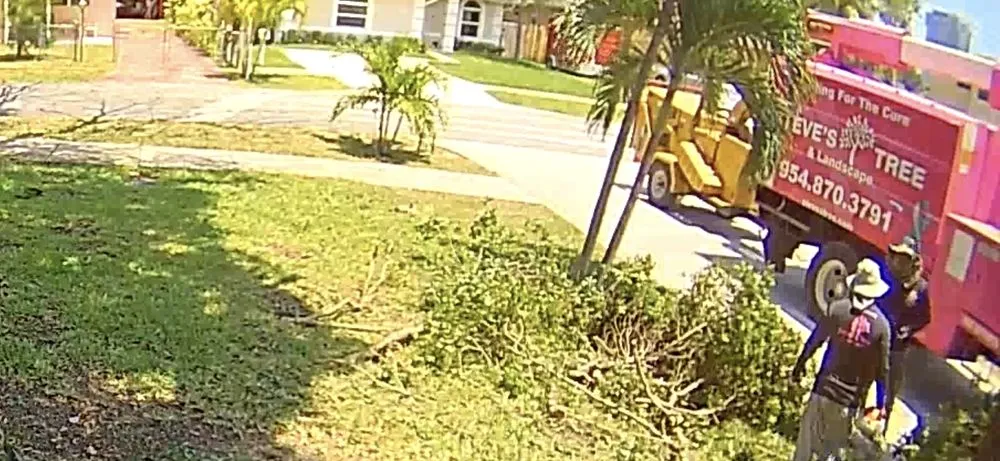 Expert garden landscaping in Davie, FL - Steve's Tree & Landscape - Broward