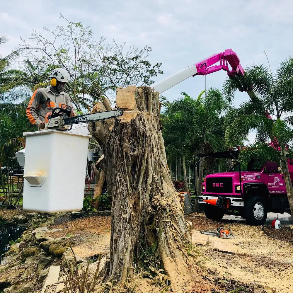 Local lawn mowing service for homes across Davie, FL - Steve's Tree & Landscape - Broward