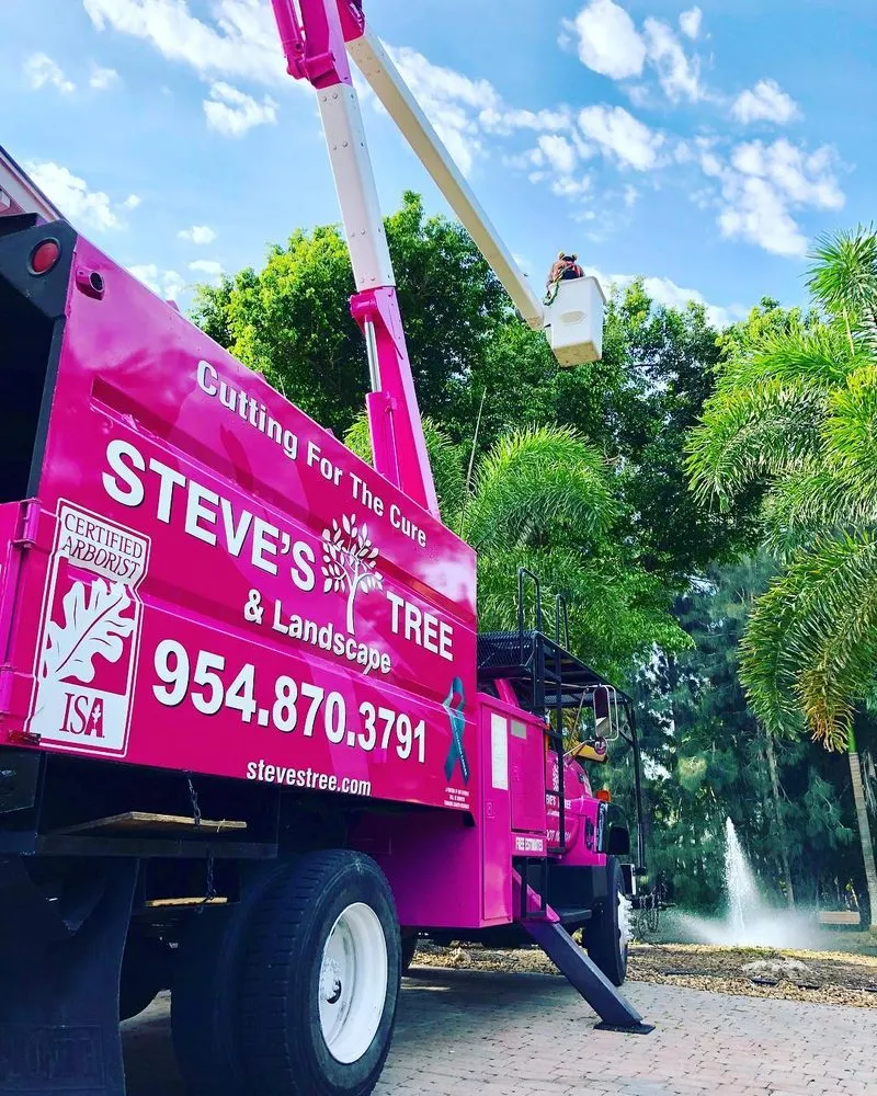 Top-rated garden landscaping experts serving Davie, FL - Steve's Tree & Landscape - Broward
