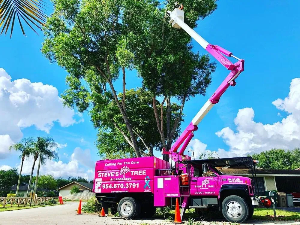 Custom residential landscaping experts serving Davie, FL - Steve's Tree & Landscape - Broward