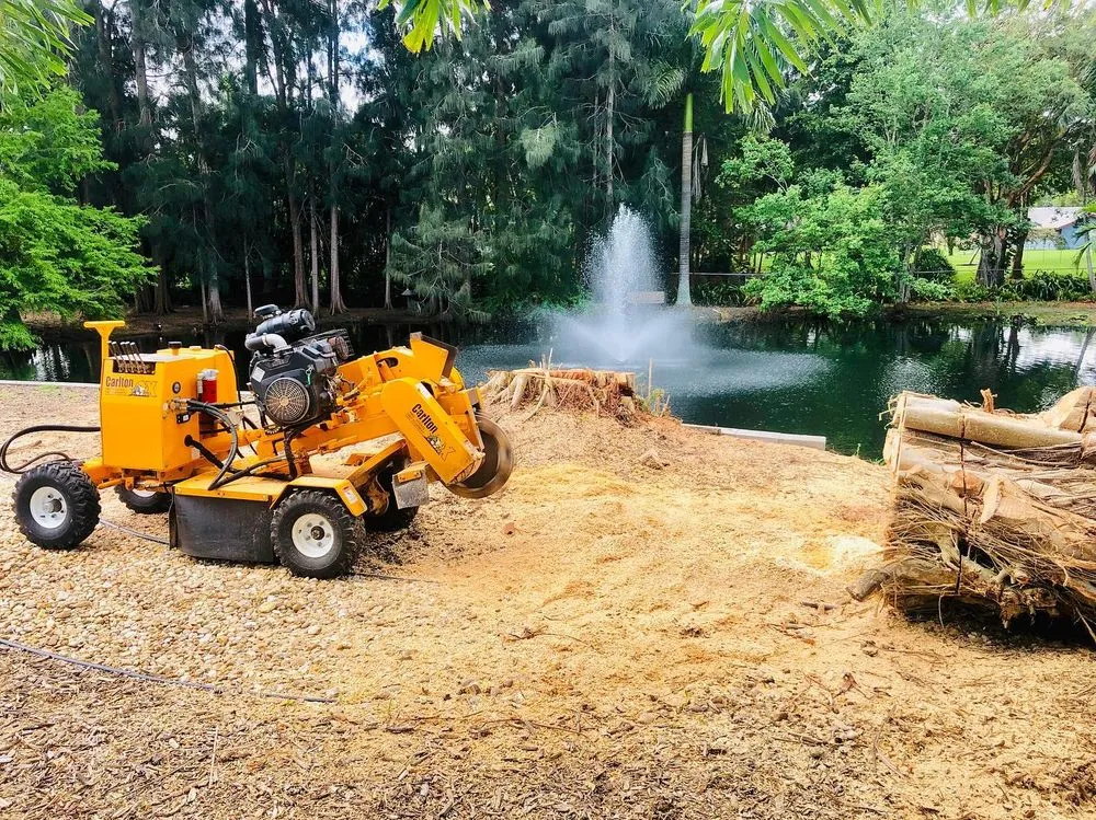 Professional yard cleanup service for beautiful yards across Davie, FL - Steve's Tree & Landscape - Broward