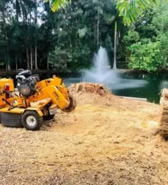 Affordable residential landscaping experts serving Fort Myers, FL - Steves Tree & Landscape - Fort Myers