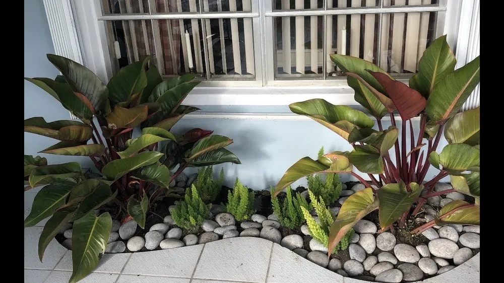 Local landscape design for year-round maintenance across Miami, FL - Steve's Tree & Landscape