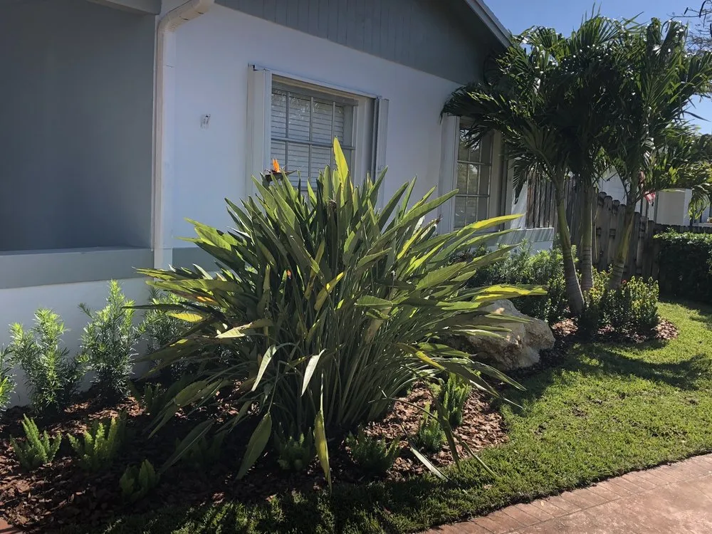 Expert lawn care service in Miami, FL by Steve's Tree & Landscape