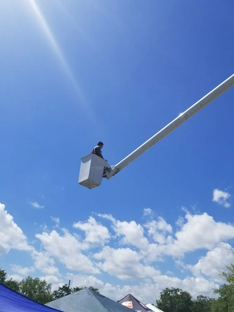 Local residential landscaping experts serving Miami, FL - Steve's Tree & Landscape