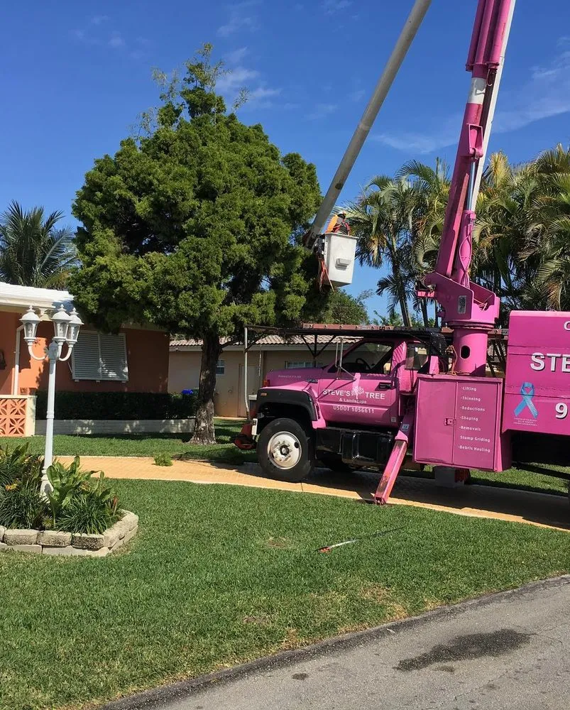 Affordable yard maintenance in Miami, FL by Steve's Tree & Landscape