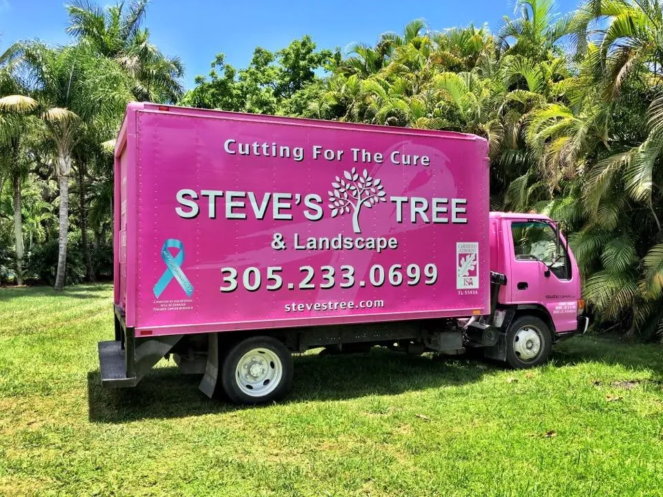 Professional landscape design for year-round maintenance in Miami, FL by Steve's Tree & Landscape