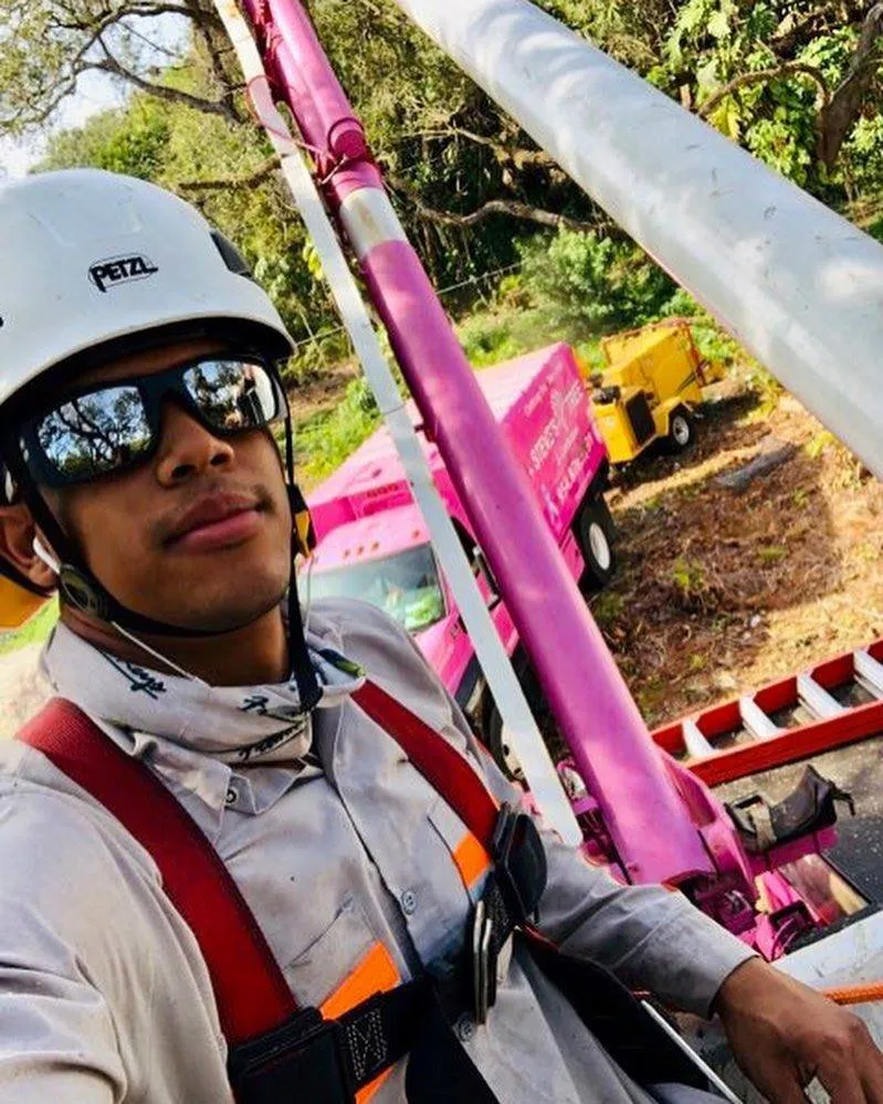 Expert yard cleanup service for residential properties in Miami, FL by Steve's Tree & Landscape