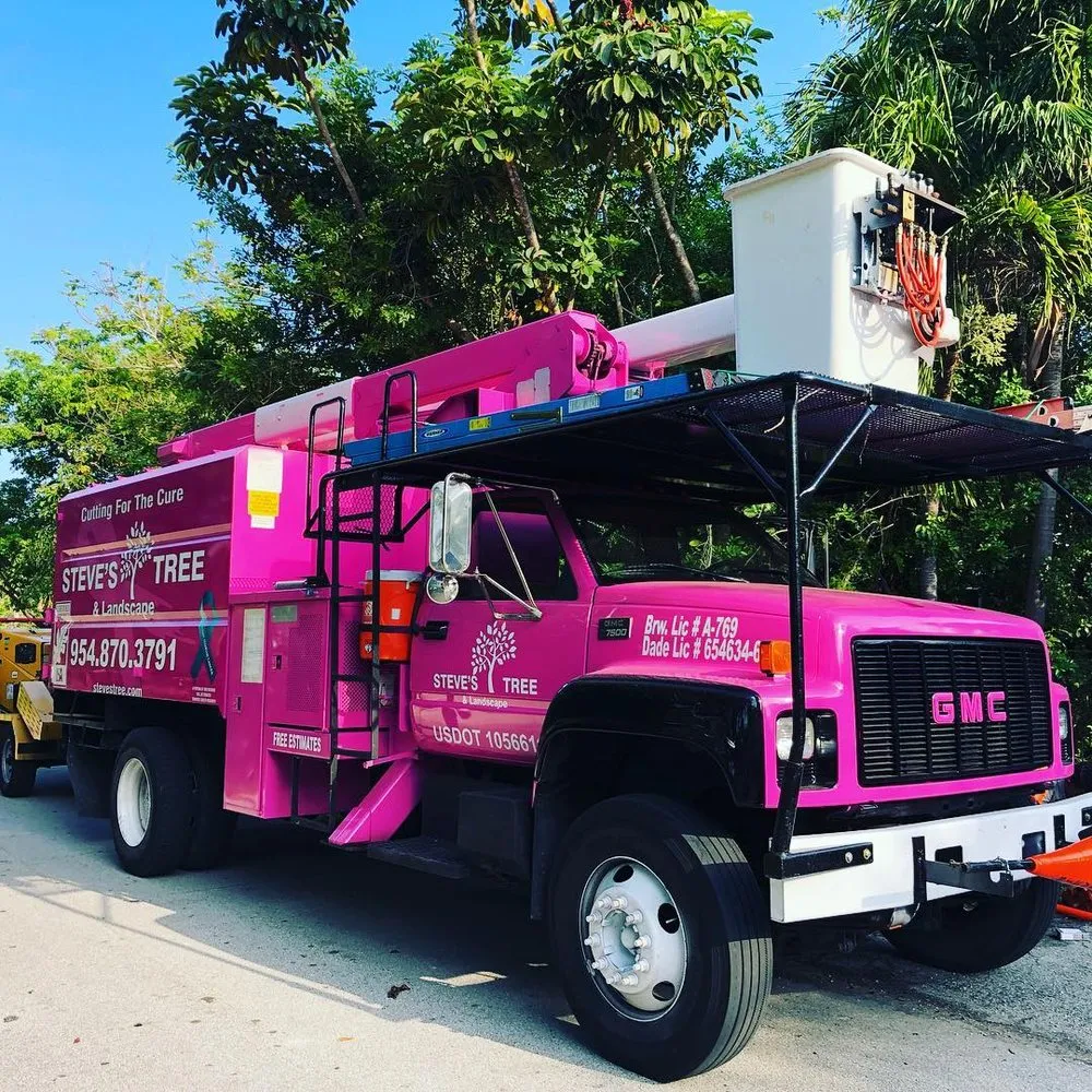 Local yard cleanup service in Miami, FL - Steve's Tree & Landscape