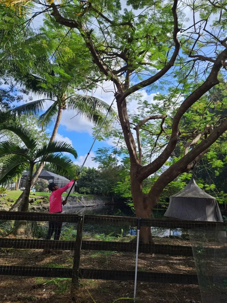 Custom outdoor landscaping experts serving Miami, FL - Steve's Tree & Landscape