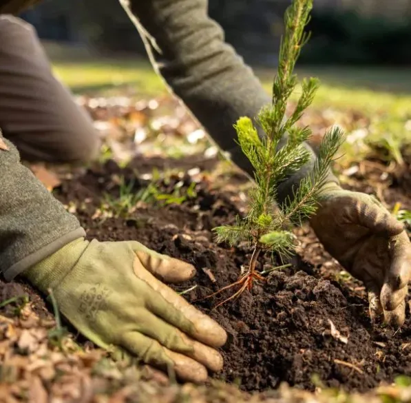Reliable lawn mowing service with custom design in Springfield, OH by Steve's Tree Care & Property Maintenance