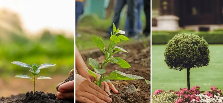 Local lawn mowing service in Springfield, OH by Steve's Tree Care & Property Maintenance