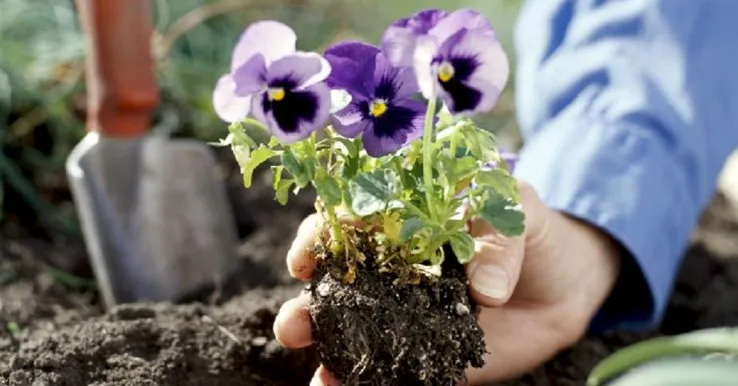 Trusted yard maintenance in Springfield, OH - Steve's Tree Care & Property Maintenance