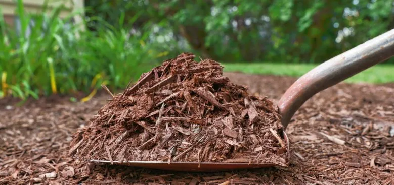 Custom lawn care service in Springfield, OH by Steve's Tree Care & Property Maintenance