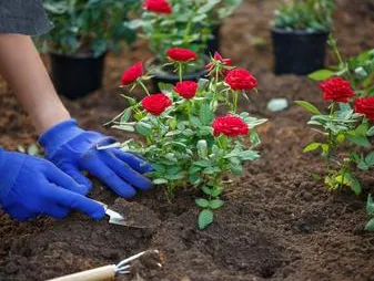 Professional landscape design experts serving Springfield, OH - Steve's Tree Care & Property Maintenance