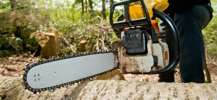 Professional landscape design for homes in Springfield, OH by Steve's Tree Care & Property Maintenance