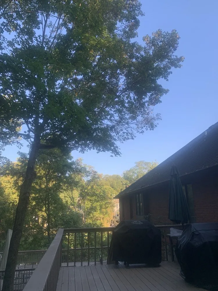 Professional lawn care service for residential properties across Springfield, OH - Steve's Tree Care & Property Maintenance