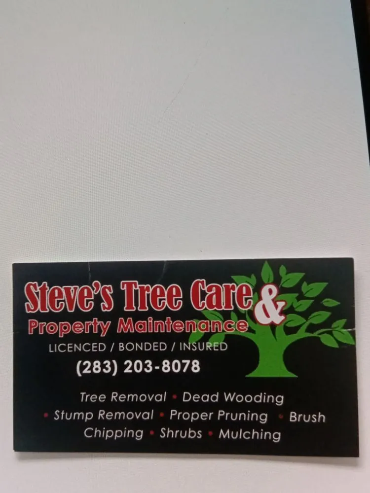 Custom landscaping services experts serving Springfield, OH - Steve's Tree Care & Property Maintenance
