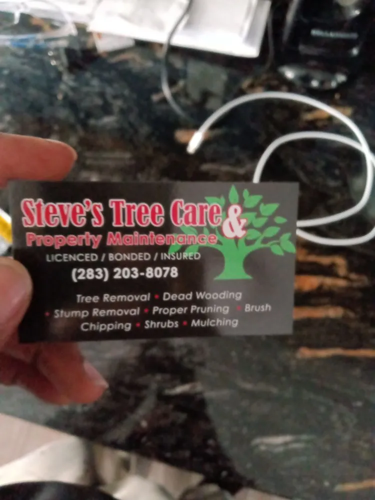 Top-rated lawn care service in Springfield, OH by Steve's Tree Care & Property Maintenance