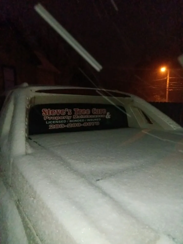 Trusted landscape design in Springfield, OH by Steve's Tree Care & Property Maintenance