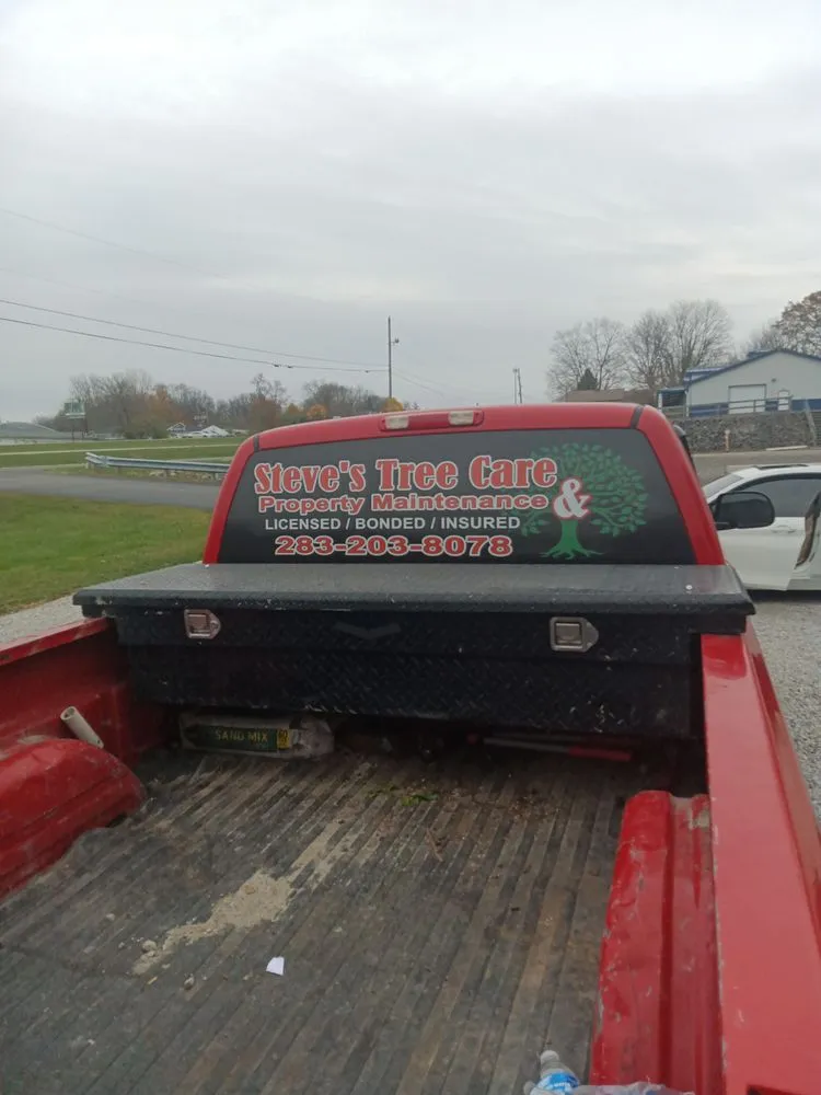 Top-rated yard cleanup service near you in Springfield, OH by Steve's Tree Care & Property Maintenance