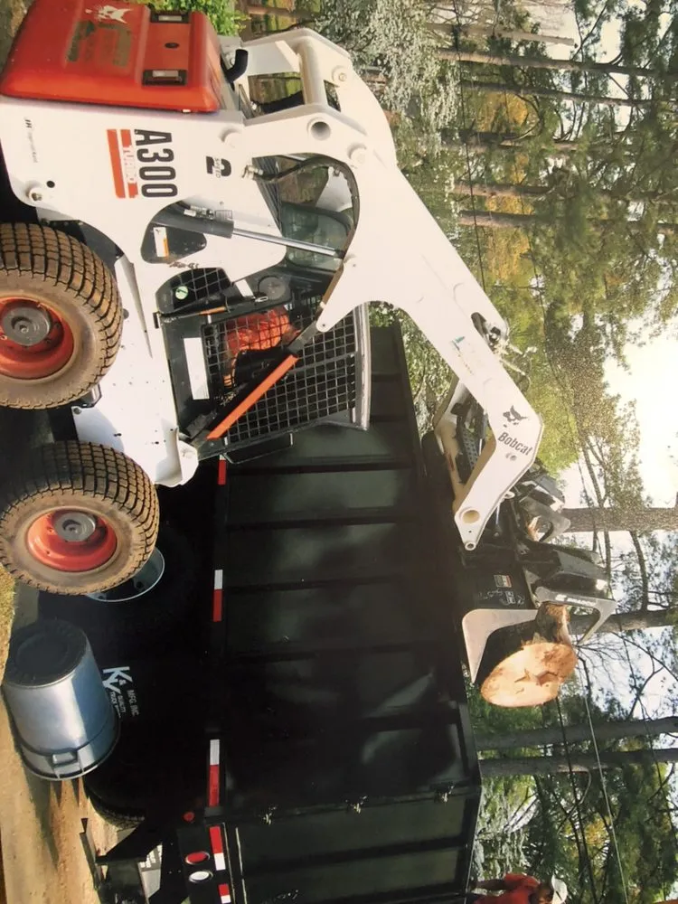 Top-rated garden landscaping experts serving Ellenwood, GA - Steve's Tree Service & Landscape