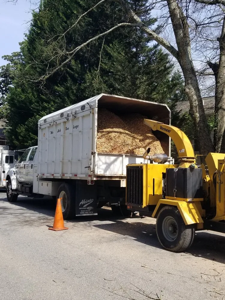 Affordable yard cleanup service in Ellenwood, GA - Steve's Tree Service & Landscape