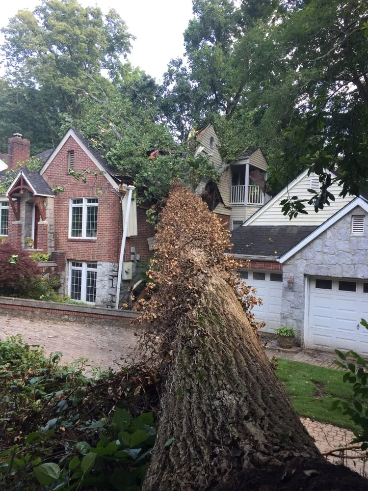 Affordable landscape installation experts serving Ellenwood, GA - Steve's Tree Service & Landscape