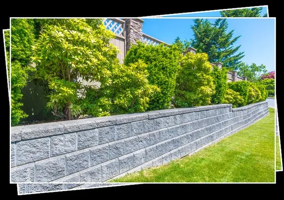 Affordable yard maintenance experts serving Lake Placid, FL - Steve's Tree Service