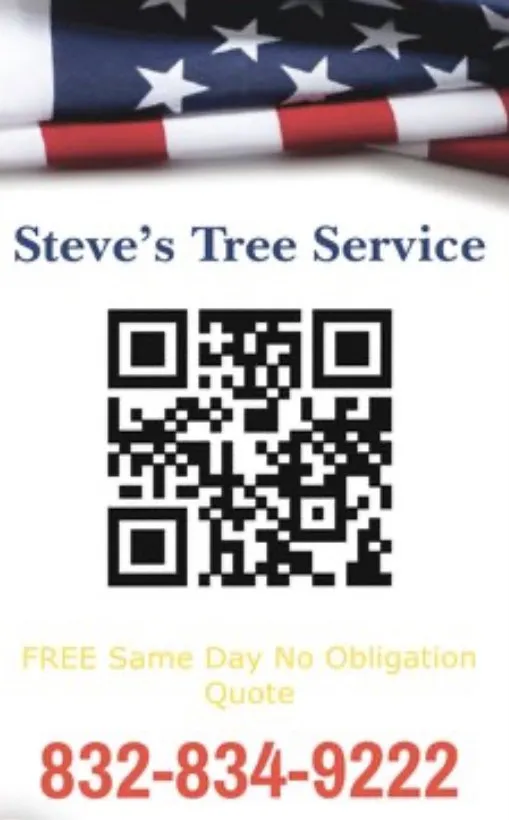 Custom lawn mowing service for residential properties across Rosenberg, TX - Steve's Tree Service