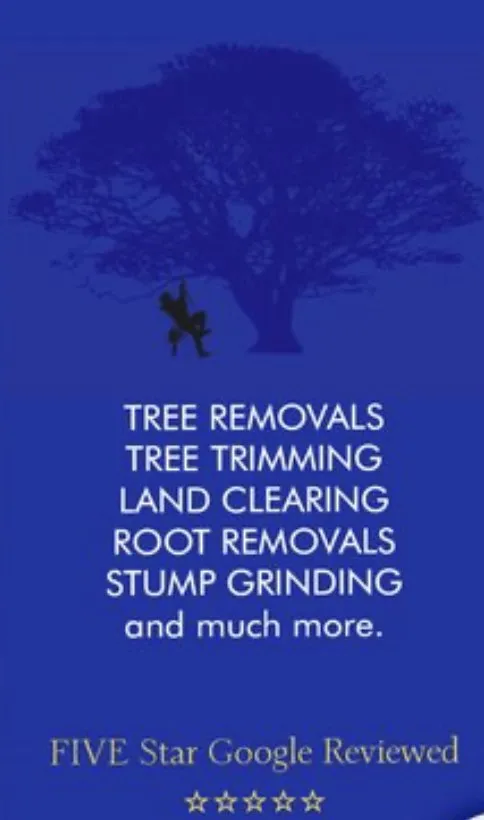 Reliable outdoor landscaping in Rosenberg, TX by Steve's Tree Service