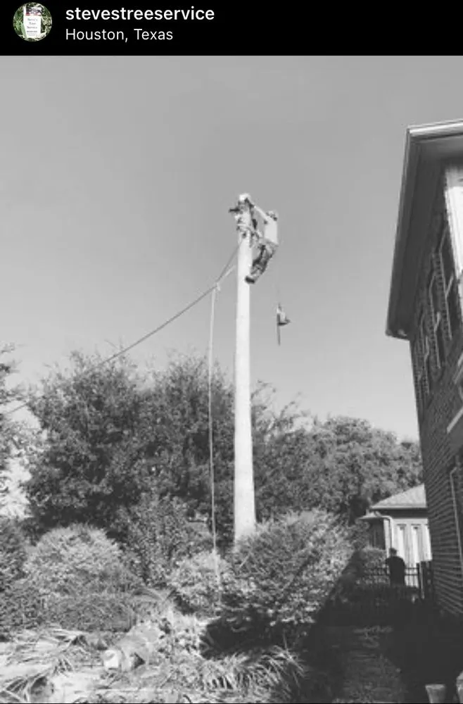 Reliable lawn mowing service for beautiful yards in Rosenberg, TX by Steve's Tree Service