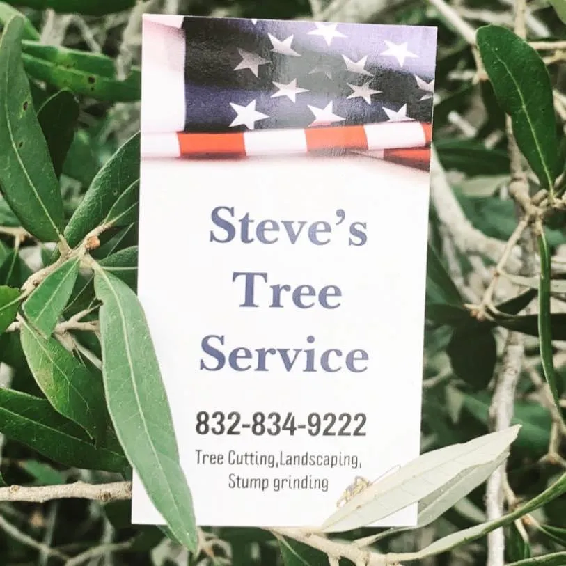 Reliable outdoor landscaping for outdoor upgrades in Rosenberg, TX by Steve's Tree Service