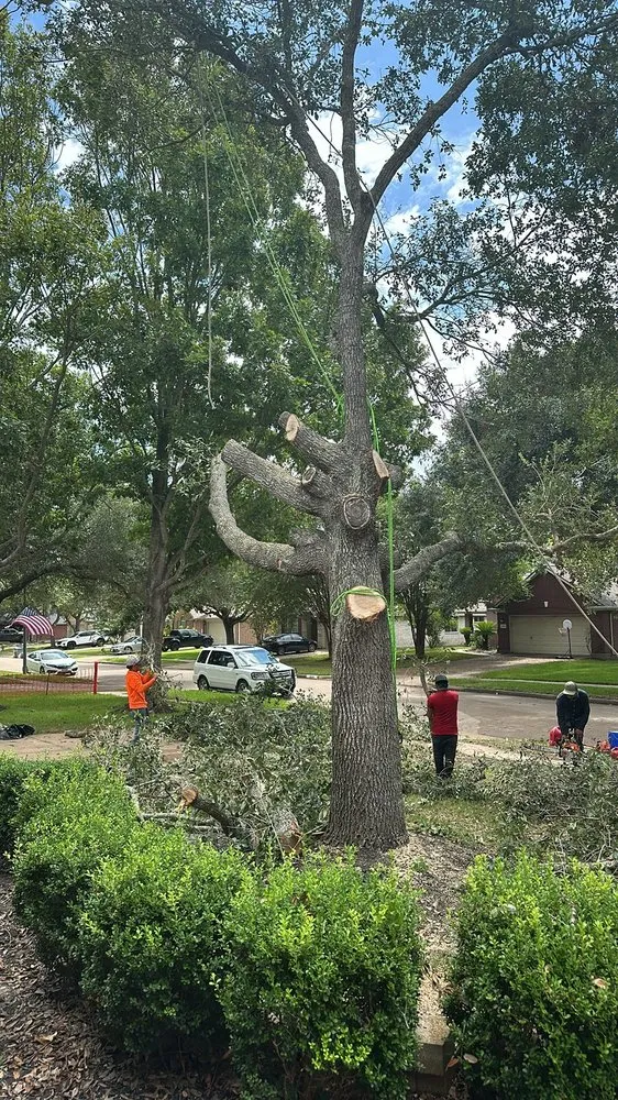 Reliable garden landscaping for homes in Rosenberg, TX by Steve's Tree Service