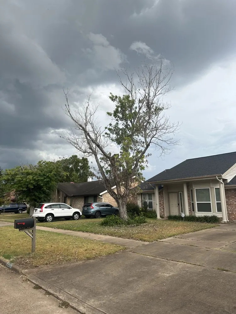 Local lawn mowing service with custom design across Rosenberg, TX - Steve's Tree Service